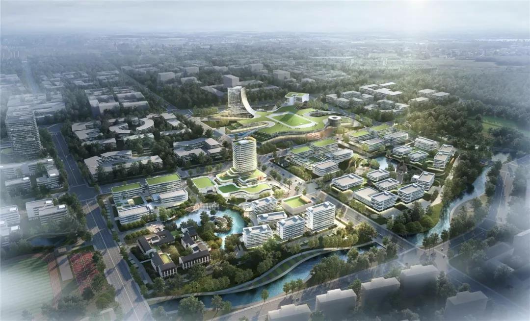 1560066445299858.jpg 06.jpg